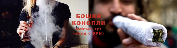 spice Аркадак