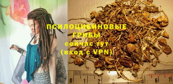 бошки Алексин
