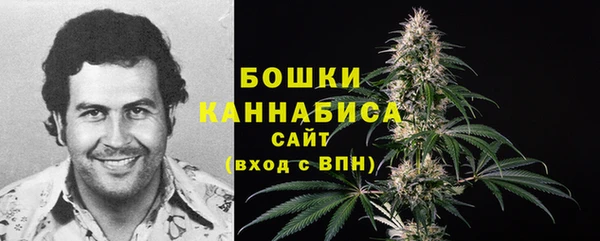 бошки Алексин