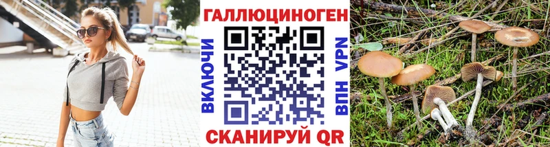 купить   Асбест  Галлюциногенные грибы MAGIC MUSHROOMS 